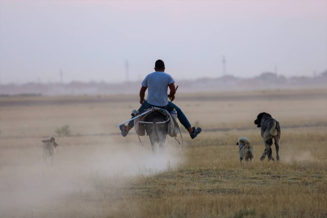 Kavurucu sıcaklar Tuz Gölü'nü kızarttı! Bakteriler cirit atıyor 10